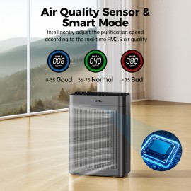 Air Purifier for Home Large Room Bedroom Up to 2500 Sq Ft with Washable Filters, H13 Hepa Double-Sided Air Filter Purifier PM 2.5 Sensor, Air Cleaner for Dust, Pets, Smoke, Pollon 22dB (White/DarkGrey)