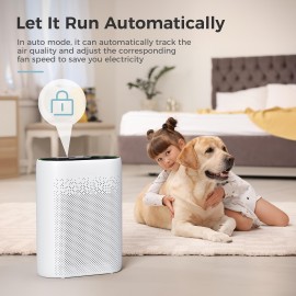 Air Purifiers For Home Large Room With Automatic Air Detection Cover 1095 Sq.Ft Impressive Filter Layer Remove Dust, Pet Dander, Pollen For Home, Bedroom, Dorm Room