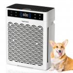 Large Room Air Purifier with True HEPA Filter & Activated Carbon - 2250 Sq Ft Coverage, USB-Powered, Washable Filter, for Bedroom, Office, Dorm Room